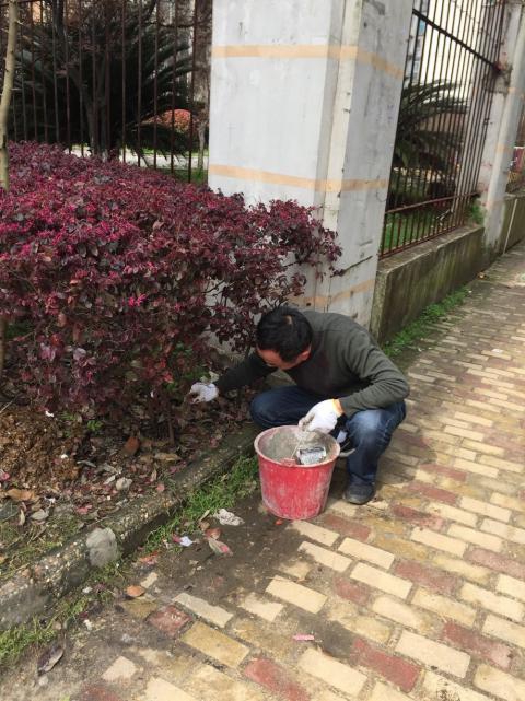 控制鼠害、预防疾病，，，构建协调文明社区_乐盈VI官网