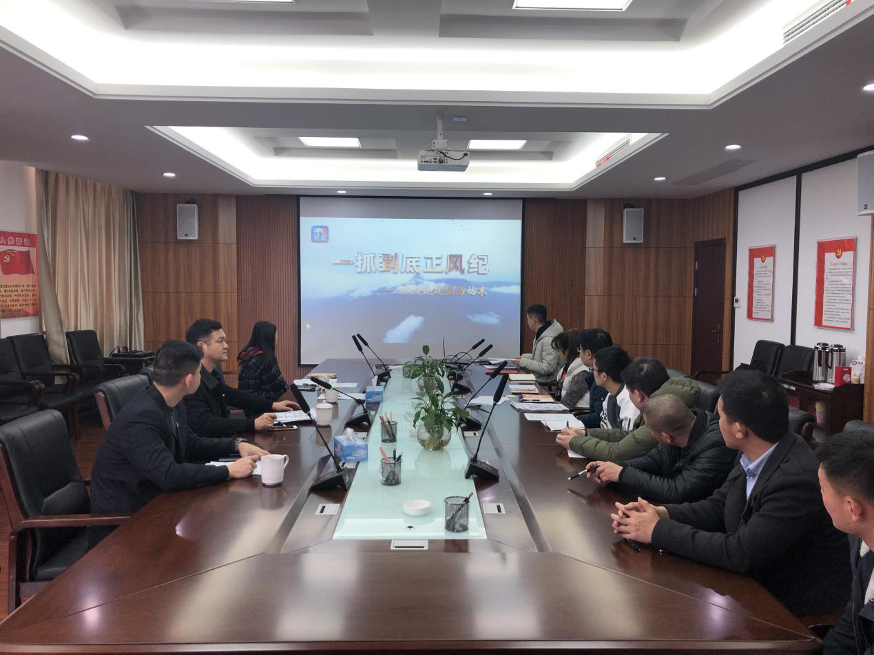 南昌城投土地开发公司组织寓目《一抓究竟正风纪——秦岭违建别墅整治委屈》_乐盈VI官网