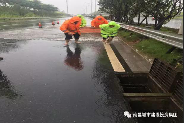 2019_乐盈VI官网