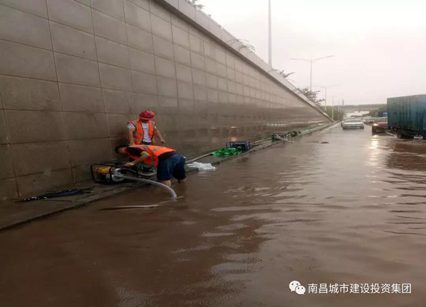 2019_乐盈VI官网