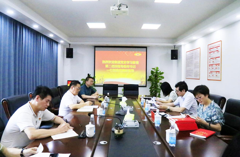 集团公司党史学习教育巡回指导组划分到各下层单位调研督导_乐盈VI官网