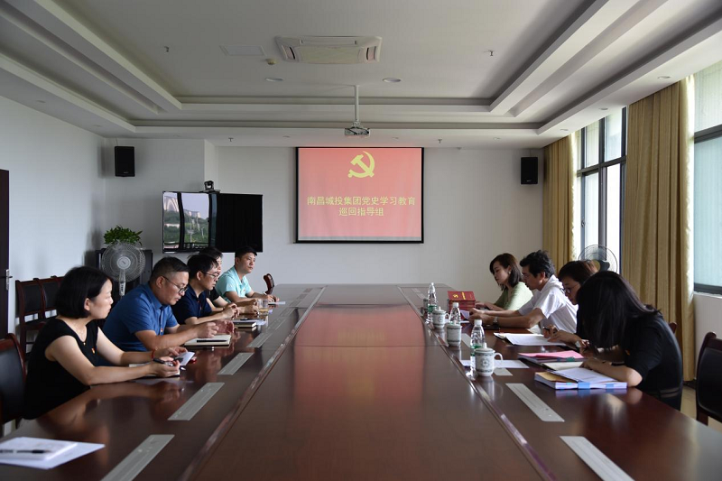 集团公司党史学习教育巡回指导组划分到各下层单位调研督导_乐盈VI官网