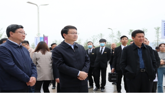 2021_乐盈VI官网