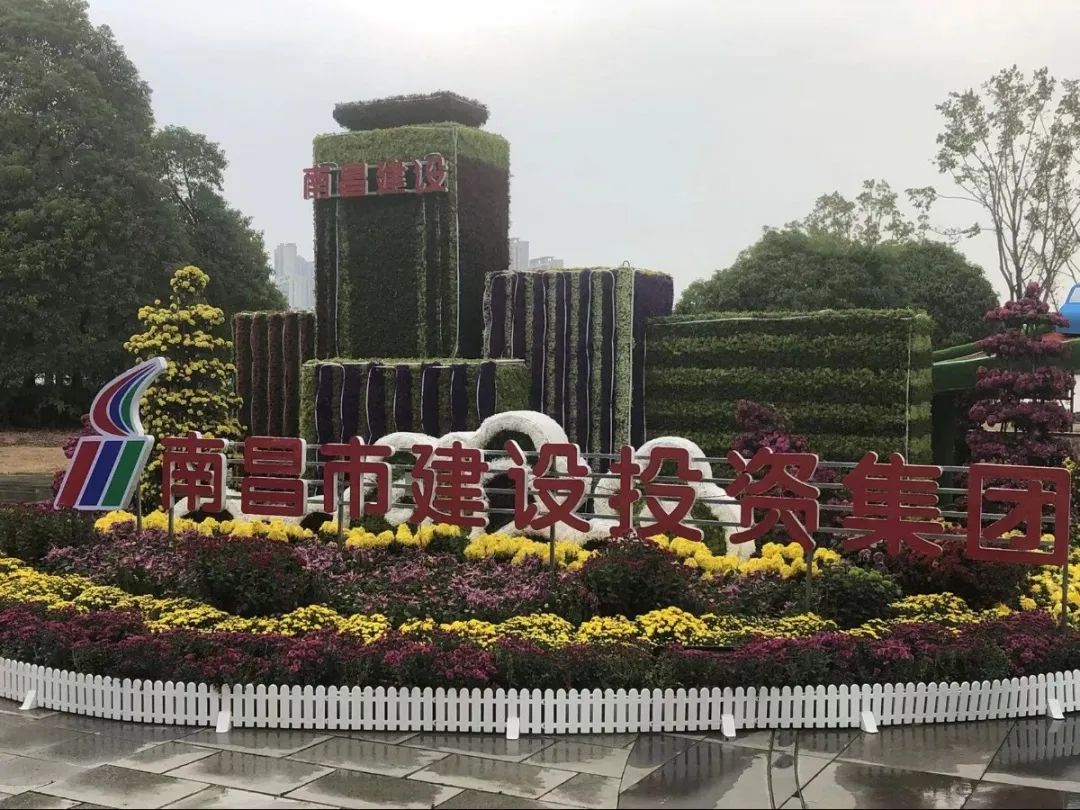 以菊为媒 以花为介 展现服务都会与生长之宗旨——市乐盈VI官网集团参展南昌市第三十四届菊花展_乐盈VI官网