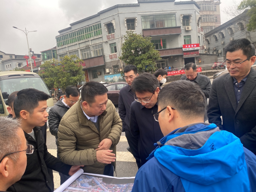 副市长江新洪一行调研洪腾高架项目_乐盈VI官网